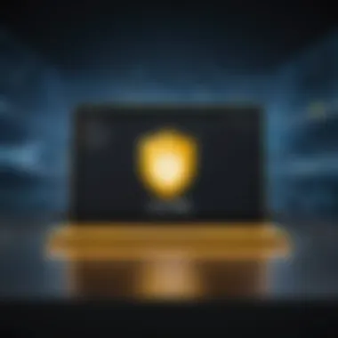 Norton Secure VPN Encryption Options Norton Secure VPN interface showcasing encryption options