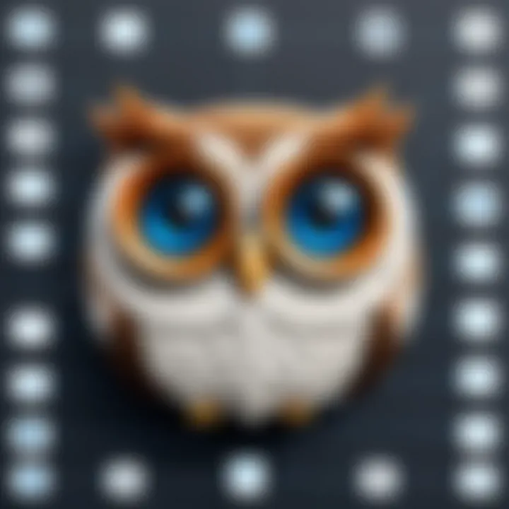 Feature set overview of Hootsuite and Buffer