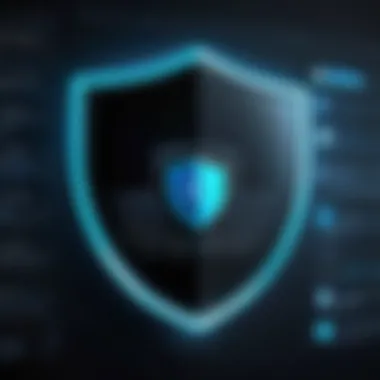 Shield symbolizing data protection