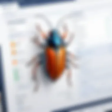 Detailed view of a bug report in Jira