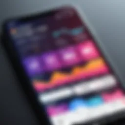 Screenshot of a popular Instagram analytics app dashboard showcasing user engagement metrics.