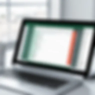 Automated Data Entry in Excel An Excel spreadsheet showcasing automated data entry.